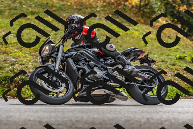 202510191443-DSC_5467_d2_