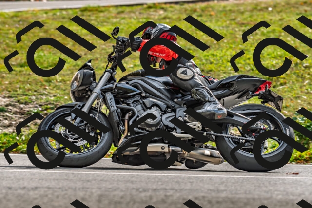 202510191443-DSC_5468_d2_