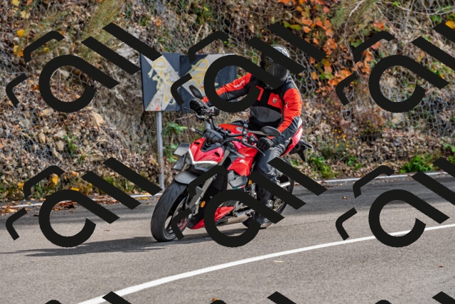 202510191445-DSC_5477_d2_