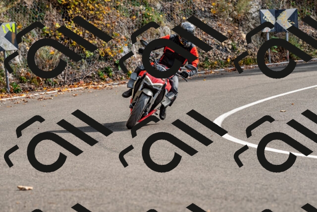 202510191445-DSC_5478_d2_