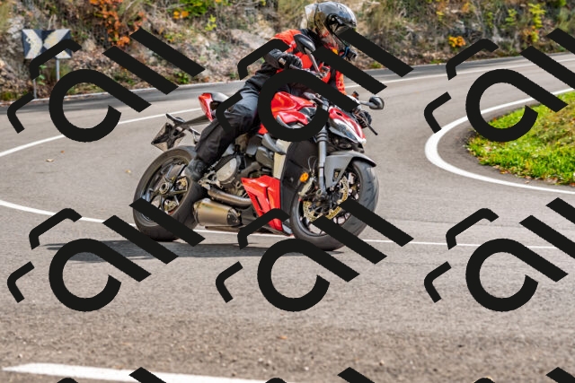 202510191445-DSC_5480_d2_