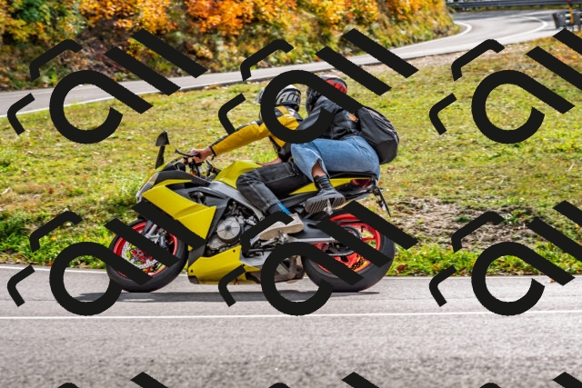 202510191445-DSC_5482_d2_