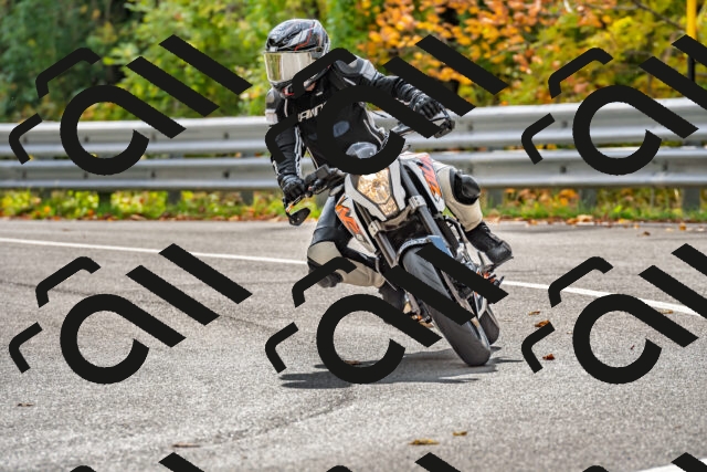 202510191445-DSC_5485_d2_