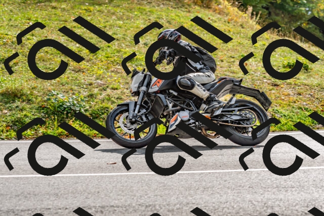 202510191445-DSC_5486_d2_