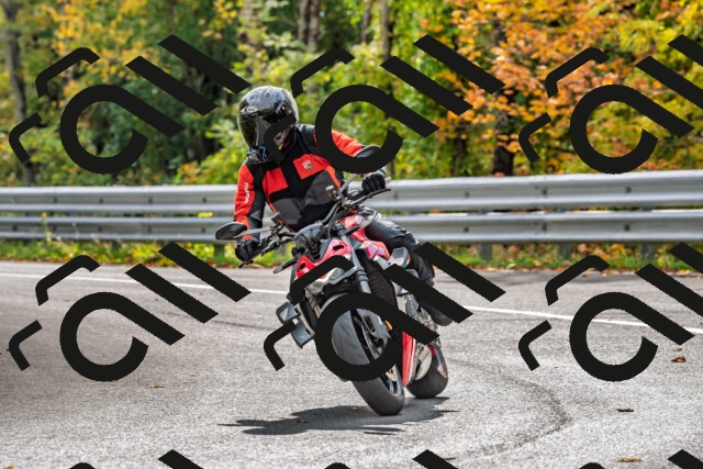 202510191449-DSC_5507_d2_