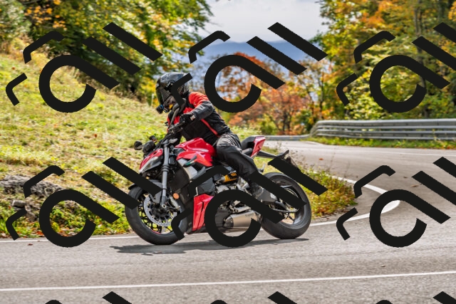 202510191449-DSC_5509_d2_