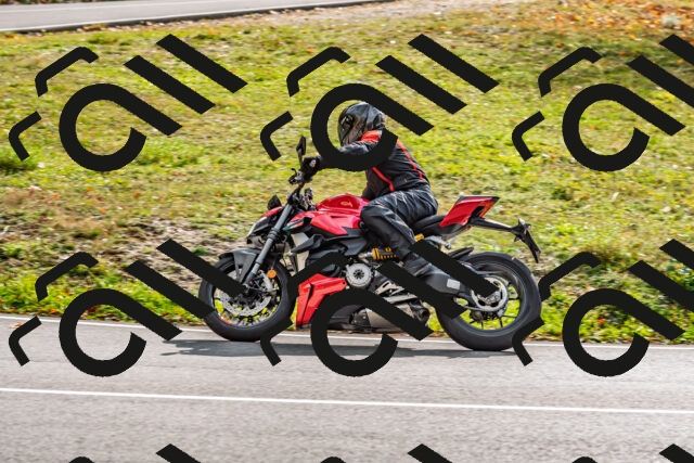 202510191449-DSC_5510_d2_