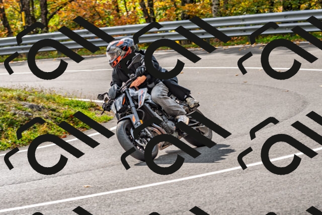 202510191449-DSC_5516_d2_