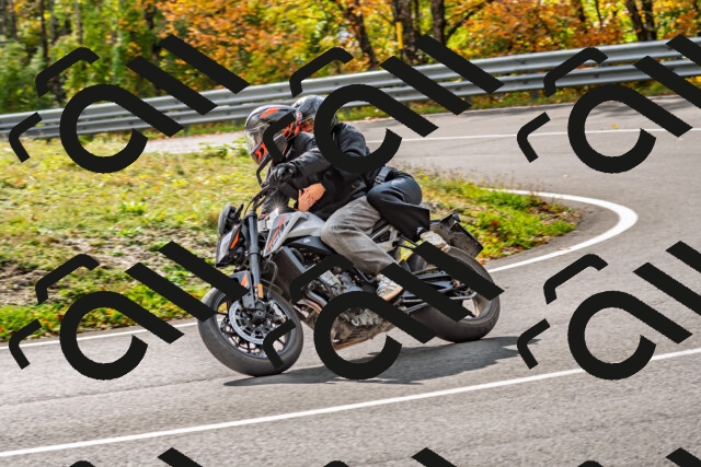 202510191449-DSC_5517_d2_