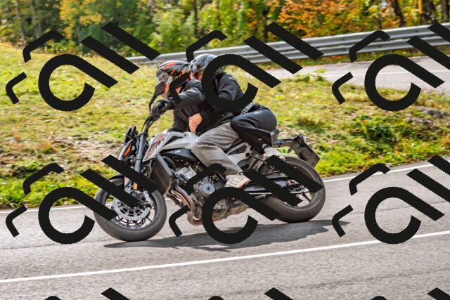 202510191449-DSC_5518_d2_