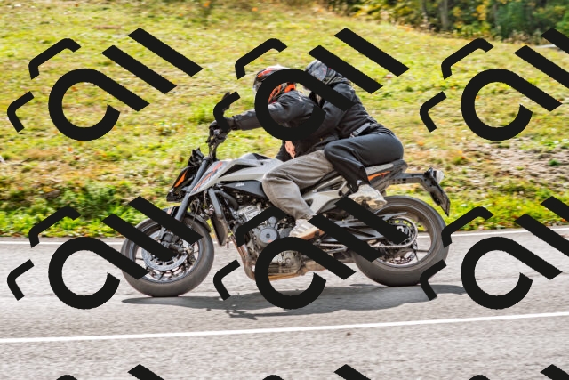 202510191449-DSC_5519_d2_