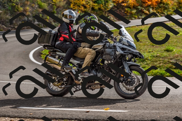 202510191451-DSC_5525_d2_