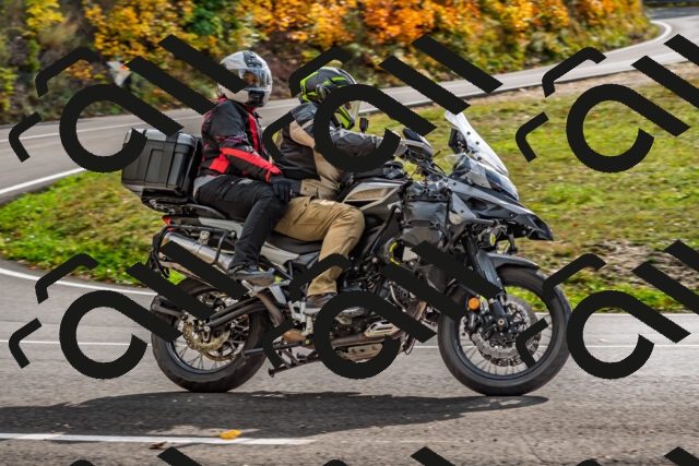 202510191451-DSC_5526_d2_