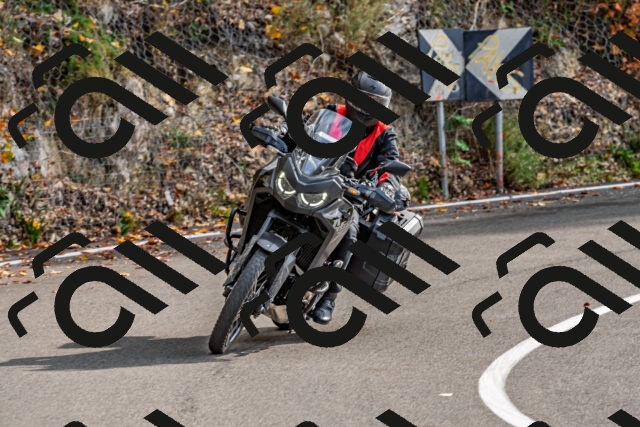 202510191451-DSC_5528_d2_