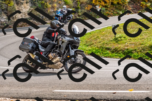 202510191451-DSC_5530_d2_