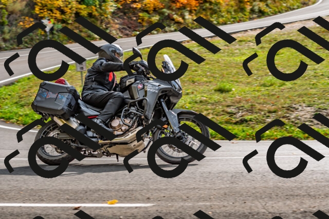 202510191451-DSC_5531_d2_