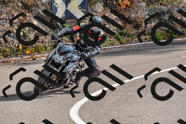 202510191454-DSC_5546_d2_