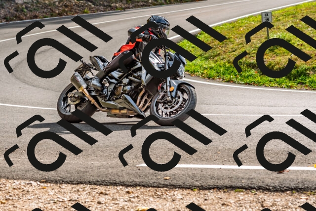 202510191454-DSC_5548_d2_