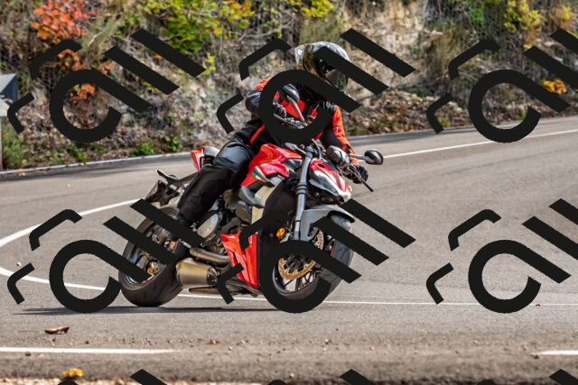 202510191458-DSC_5552_d2_