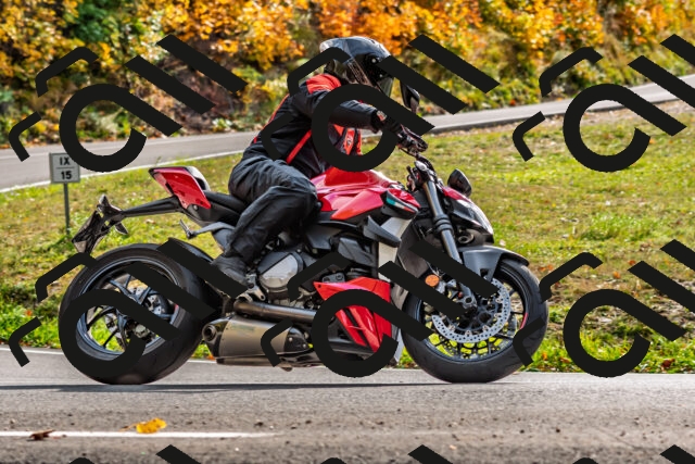 202510191458-DSC_5553_d2_