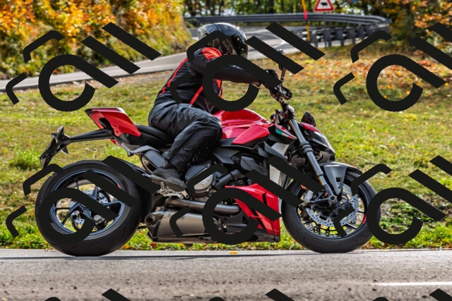 202510191458-DSC_5554_d2_