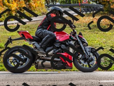 202510191458-DSC_5554_d2_