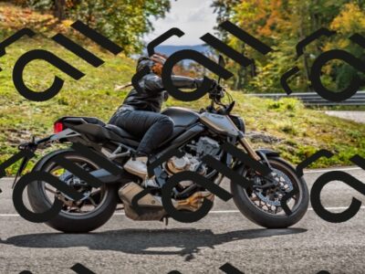 202510191503-DSC_5589_d2_