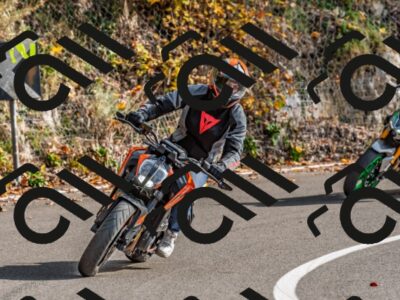 202510191508-DSC_5605_d2_