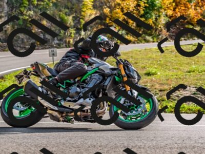 202510191508-DSC_5613_d2_