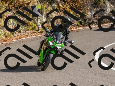 202510191509-DSC_5621_d2_