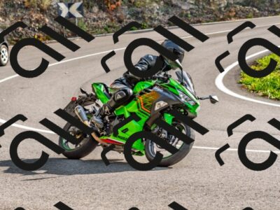 202510191509-DSC_5622_d2_