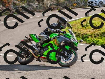 202510191509-DSC_5623_d2_