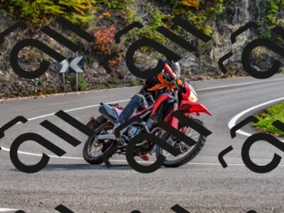 202510191516-DSC_5639_d2_