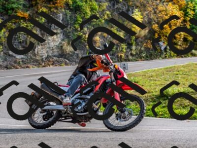 202510191516-DSC_5640_d2_