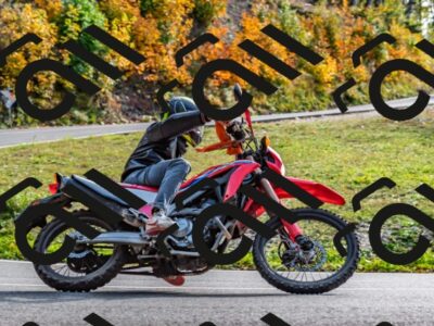 202510191516-DSC_5641_d2_