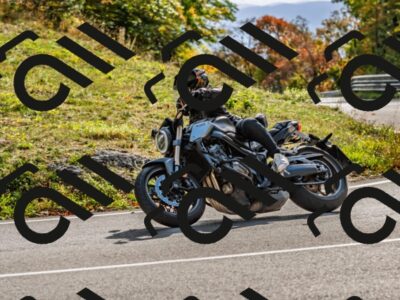 202510191521-DSC_5653_d2_