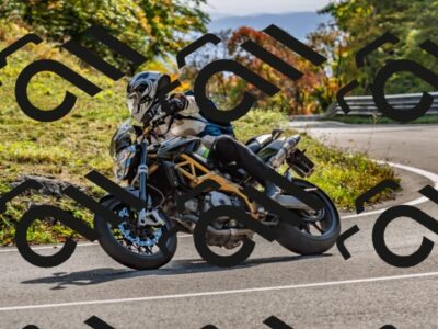 202510191529-DSC_5686_d2_