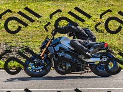 202510191529-DSC_5696_d2_