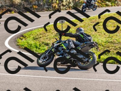 202510191529-DSC_5701_d2_