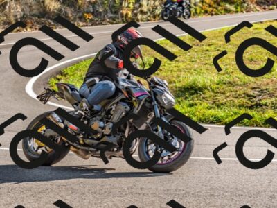 202510191538-DSC_5731_d2_