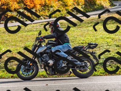 202510191541-DSC_5746_d2_