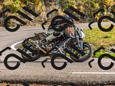 202510191551-DSC_5784_d2_