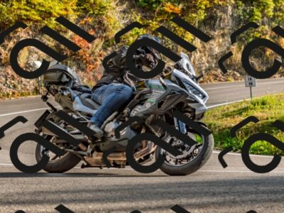 202510191629-DSC_5867_d2_