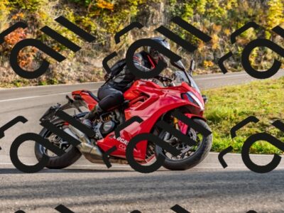 202510191629-DSC_5870_d2_