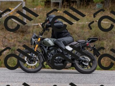 202510251046-DSC_8500_c4_