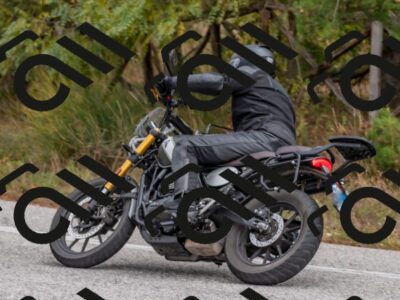 202510251046-DSC_8501_c4_