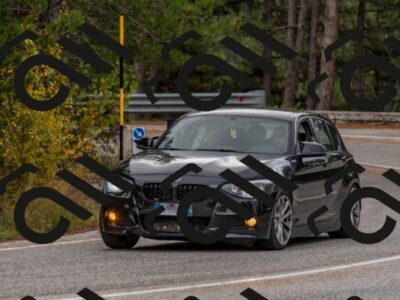 202510251222-DSC_8733_c4_