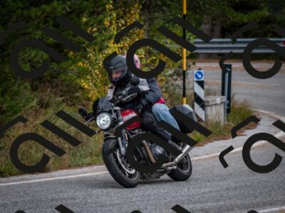 202510251317-DSC_9421_c2