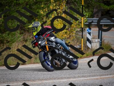 202510251344-DSC_9442_c2