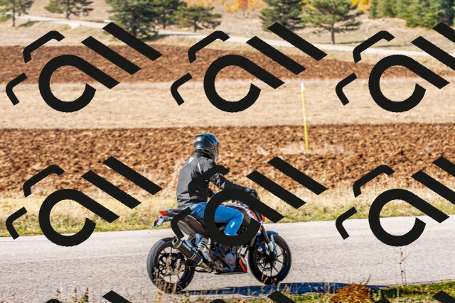 20251012111052_-R029959_r2